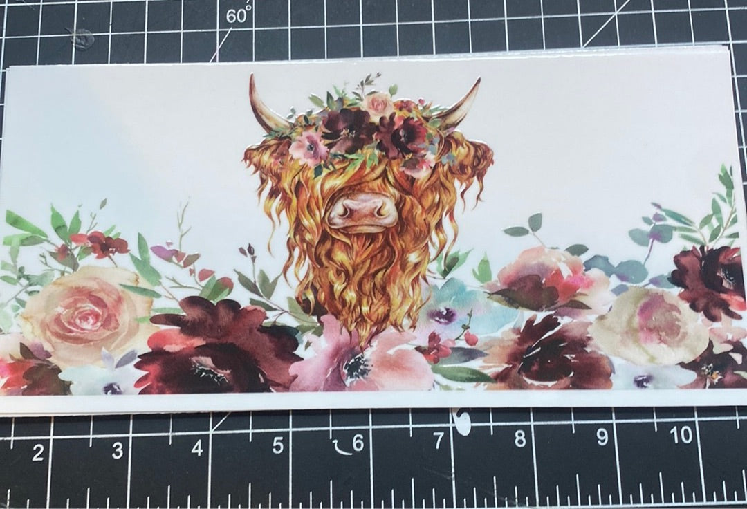 Highland cow roses